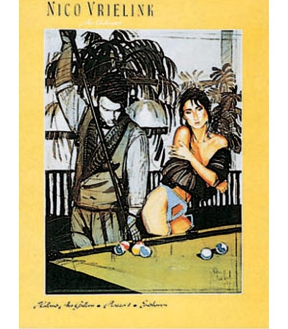 POSTER NICO VRIELINK 80x60 cm.