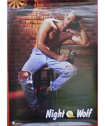 POSTER NIGHT WOLF