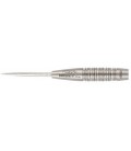 FRECCETTE STEEL TUNGSTEN PHASE 6 PURIST 25g